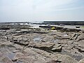 Le port de Saint-Pierre à marée basse