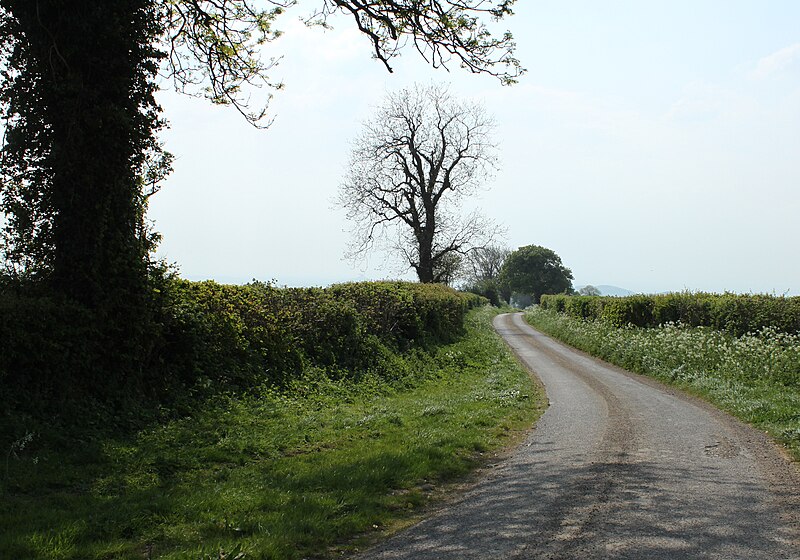 File:2011 , West on Ham Lane - geograph.org.uk - 2419251.jpg