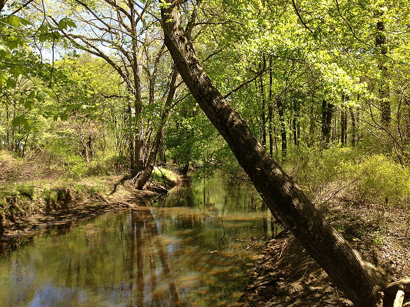 File:2013-05-04 12 53 48 View east upstream along the Assunpink Creek in far southwestern West Windsor Township, New Jersey.jpg