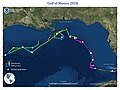 Thumbnail for NOAAS Okeanos Explorer Gulf of Mexico 2018 Expedition