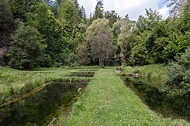 Fischteiche der ehemaligen Klumpermühle