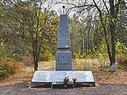 44-216-0022 Братська могила радянських воїнів, Кремінна, Територія санаторію «Озерний».jpg