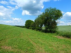 Field margins in Upper Swabia