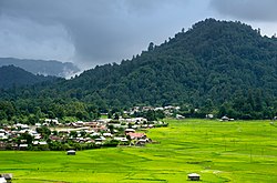 A cross section of luch green valley of Ziro