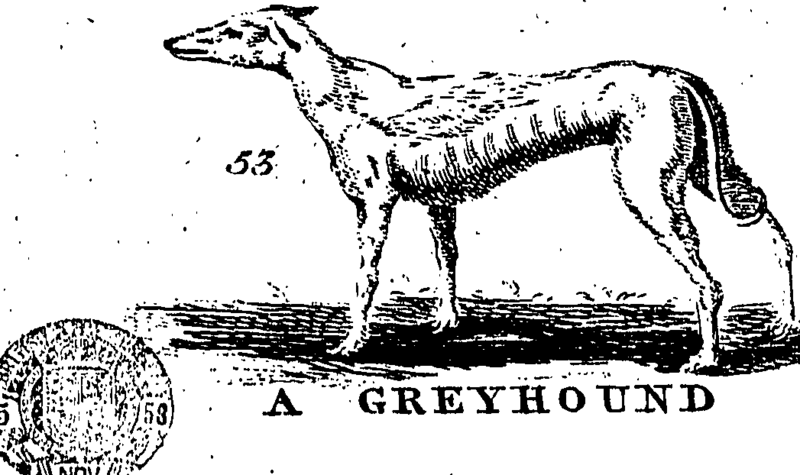 File:A description of three hundred animals, viz Fleuron T153854-43.png