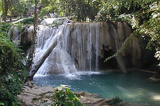 Agua Azul in Mexico showing a partially calcified tree