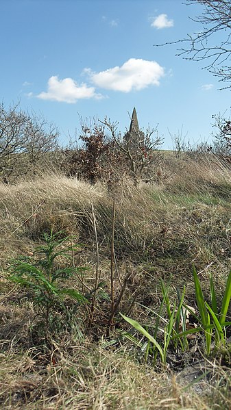 File:Ashurst's Beacon - geograph.org.uk - 1758495.jpg