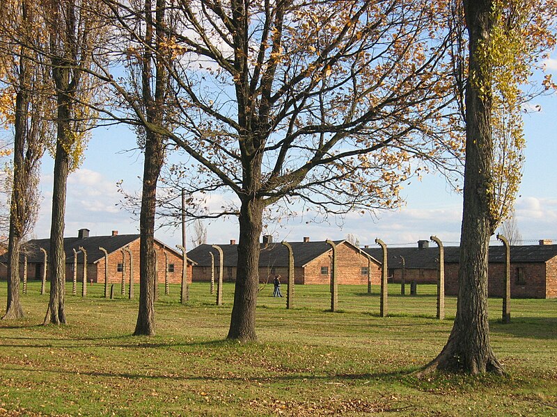 File:Auschwitz Birkenau03.jpg