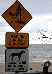 Stingers Signs in Australia Australia - Marine Stingers (Vinegar depot).jpg