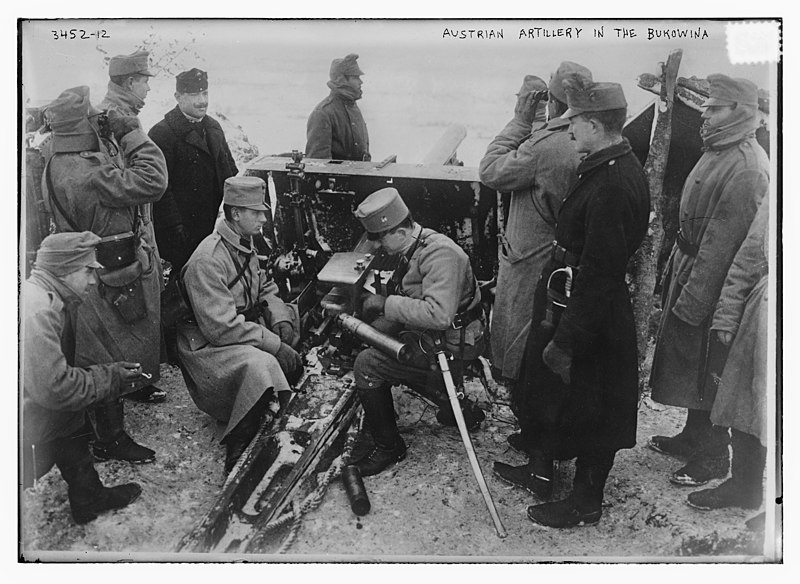File:Austrian artillery in the Bukowina LCCN2014698876.jpg
