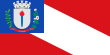 Vlag van Guanambi
