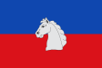 Biscarrués zászlaja