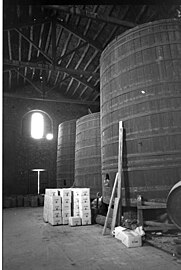 Celler de la Societat Agrícola de Barberà. Nau d'estibatge. L'any 1984 encara es conservaven algunes de les tines originals d'avet (1984).