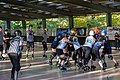 * Nomination: Roller derby Berlin Rollt 2018 --MB-one 15:19, 13 September 2019 (UTC) * Review There is purple/green CA --Poco a poco 18:10, 13 September 2019 (UTC) Where do the many spots in the upper part of the photo come from? --Steindy 23:26, 13 September 2019 (UTC)