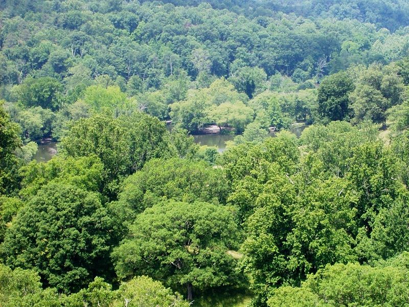 File:Biltmore Reflecting Pond from Mansion.jpg