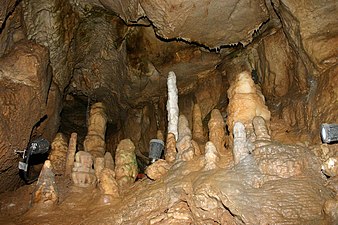 Stalagmiten in der Binghöhle