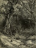 Thumbnail for File:Birket Foster's pictures of English landscape (1863) (14781534595).jpg