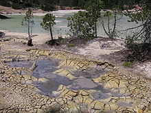 Boiling Springs Lake is acidic and very hot. The first hybrid virus was discovered here in 2012. Genetic hybrids are called "chimera", after mythological creatures like the Griffin or winged horse. Boiling Springs Lake Lassen NP.jpg