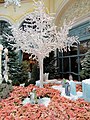 Botanical Gardens, Bellagio Hotel and Casino, Las Vegas, Nevada, USA (27502462370).jpg