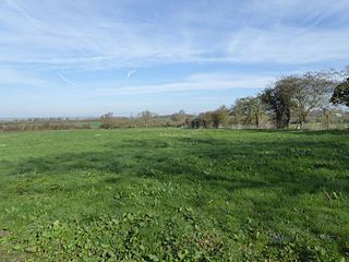 <span class="mw-page-title-main">Bozeat Meadow</span>