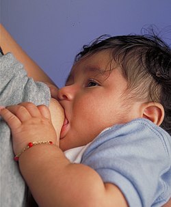 A baby being breastfed Breastfeeding infant.jpg