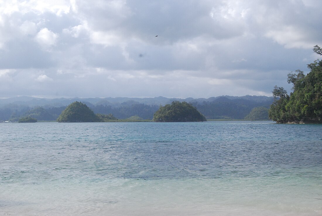 San Agustín (Surigao del Sur)