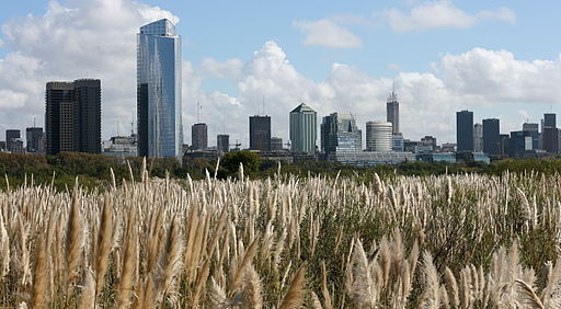 Buenos aires from the natural reserve (5308)