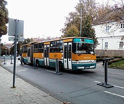 Bus line 11, Eger 02 2.jpg