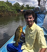 Venezuelan State Fish