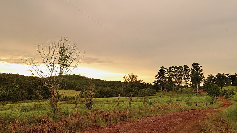 File:Camino al ocaso (16270624597).jpg