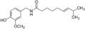 תמונה ממוזערת לגרסה מ־19:53, 28 באוגוסט 2008