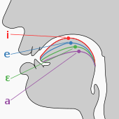 Cardinal vowel tongue position-front.svg