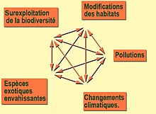 CausesExtinctionsBiodiversity.jpg