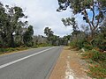 Thumbnail for Caves Road (Western Australia)
