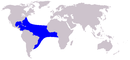 Cetacea range map Clymene Dolphin.png