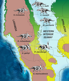 地图展示了整个北美西部的角龙科分布