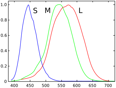 Cone Types