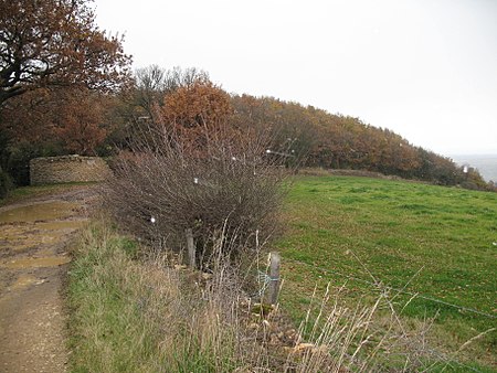 Croix Rampau (Poleymieux au Mont d'Or)