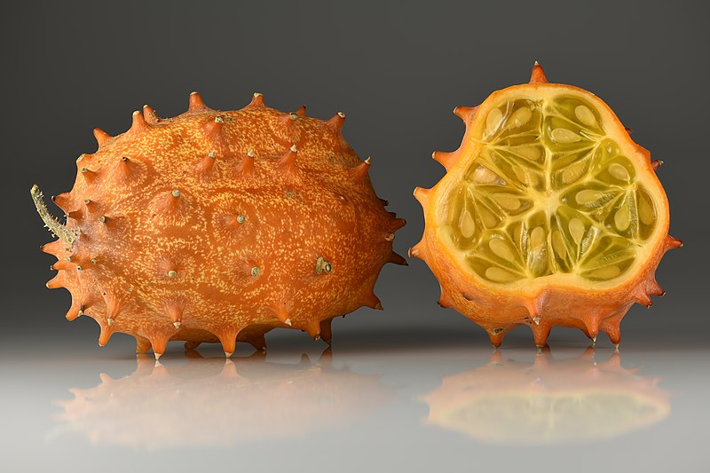 File:Cucumis metuliferus fruit - whole and cross section.jpg