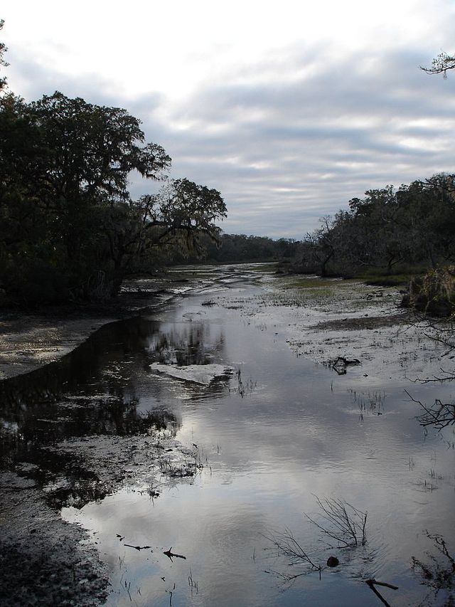 Cumberland Island National Seashore - Wikipedia