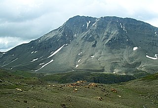 <span class="mw-page-title-main">Curator Mountain</span> Mountain in the country of Canada