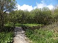 Cycle_track_bridge_at_the_north_of_Upper_Tamar_Lake_-_geograph.org.uk_-_2982577