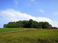 Summit of the Glockert