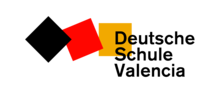 DSV Logo