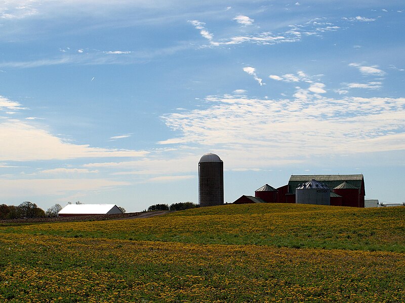 File:Dandelion Farms.jpg