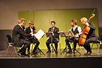 Thumbnail for Danish String Quartet