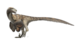 Deinonychus Restoration.png