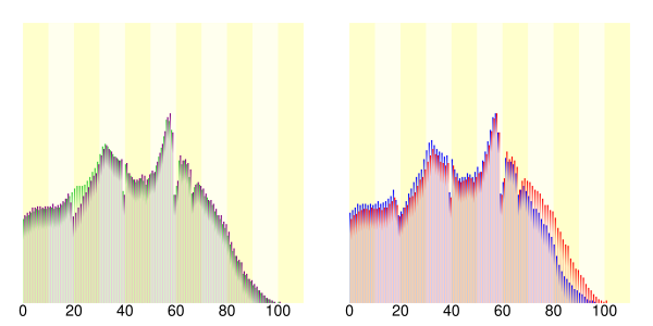 Demography22000.svg