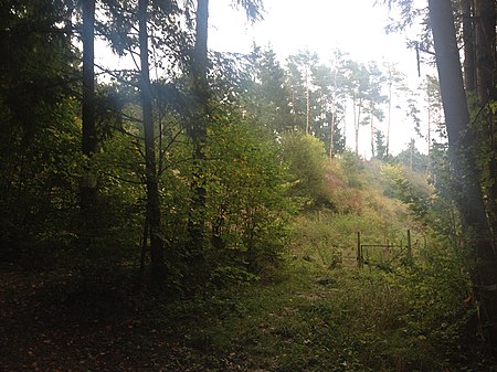 Die Saurierfundstelle Trossingen, Baden Württemberg