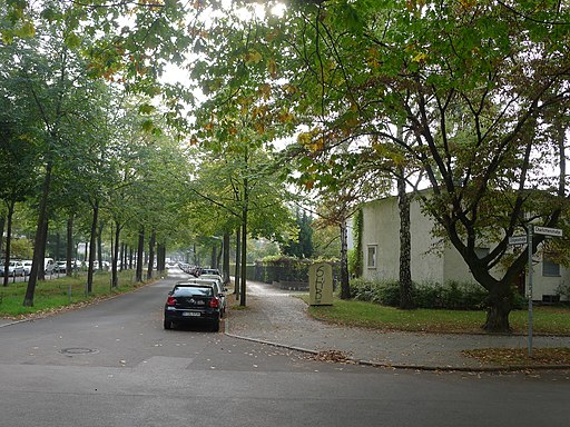 Dillgesstraße (Berlin-Lankwitz)